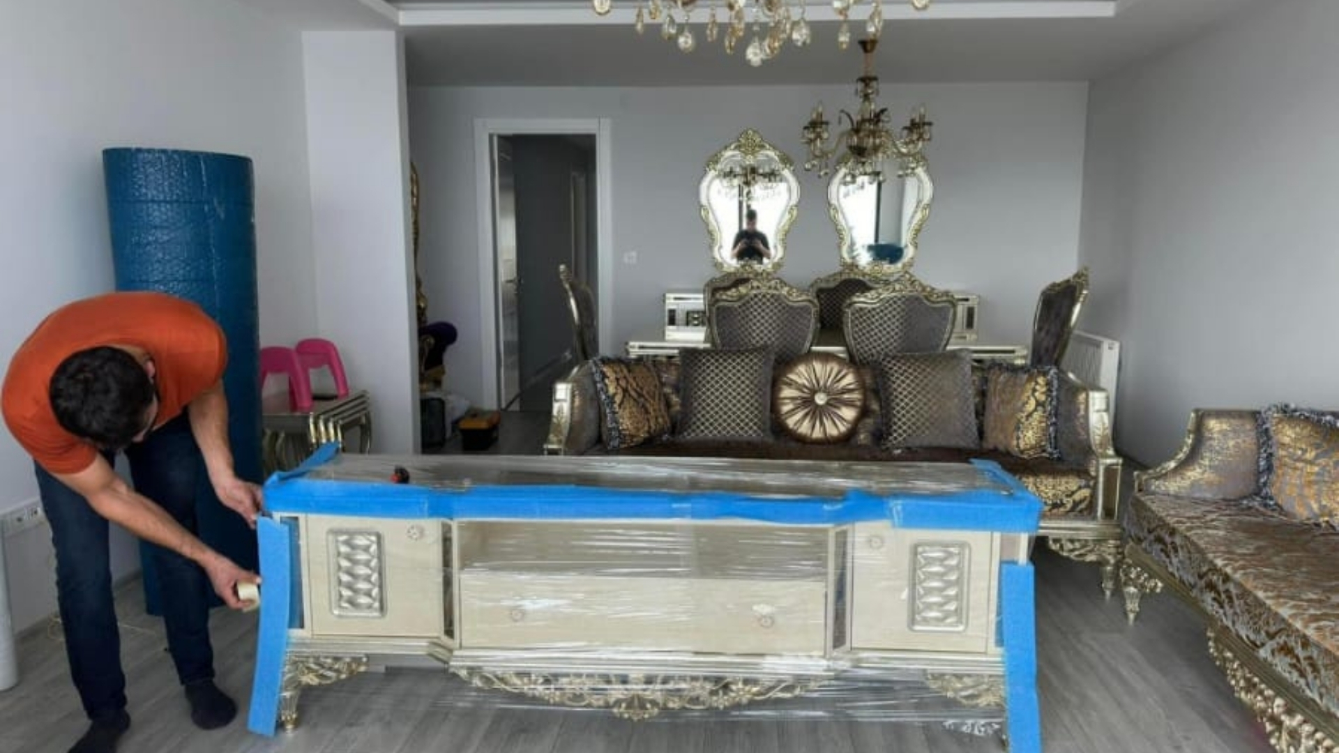 Profesyonel Taşıma